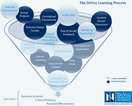 DeVos-Learning-Process