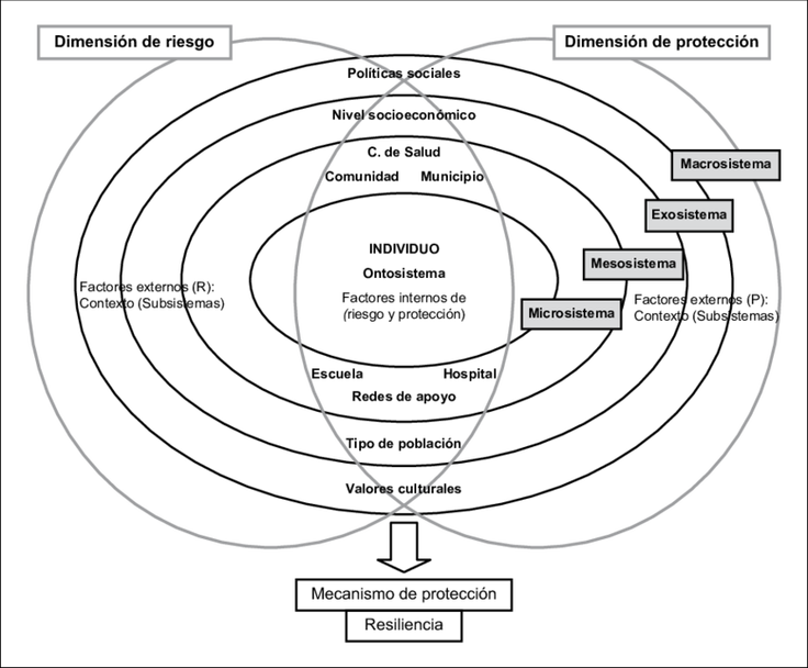 figura-2-el-proceso-de-resiliencia-aplicado-al-modelo-ecologico-y-adaptado-por-la-autora